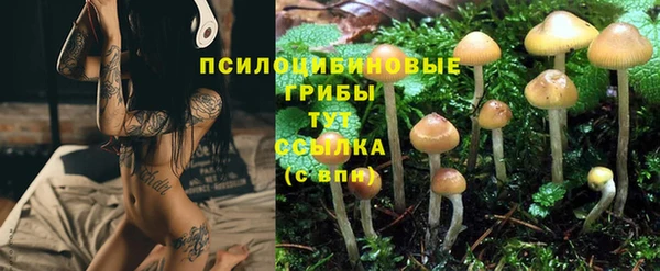 мескалин Беломорск