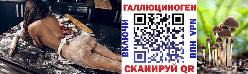 Галлюциногенные грибы Psilocybe  кракен зеркало  Бузулук  цены  